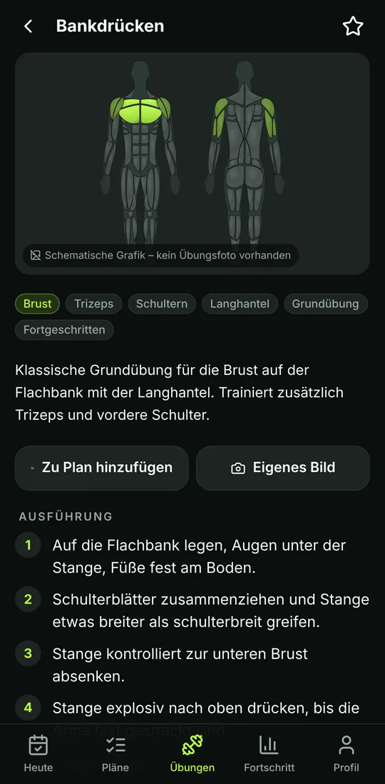 Übungsdetail Bankdrücken mit anatomischer Muskelkarte (Vorder- und Rückseite) und Ausführungsschritten.